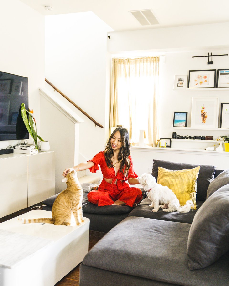 atasteofkoko's tweet image. It’s been 8 yrs since I adopted Basil &amp;amp; 3 yrs since I adopted Bee! Visit @Nutrish on Instagram in October in support of the Rachael Ray™ Nutrish® Furever Home® Donation Program. A portion of the proceeds from Nutrish helps animals in need. #nutrishpets #ad