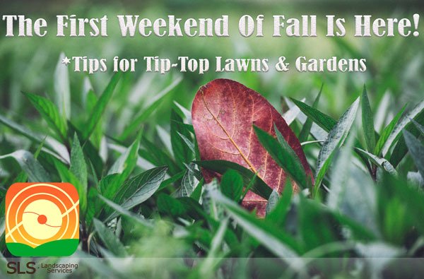 SLS_landscaping's tweet image. As always, never hesitate to give us a call with your #Fall #LawnAndGarden questions and qualms!
goo.gl/ksk1zy