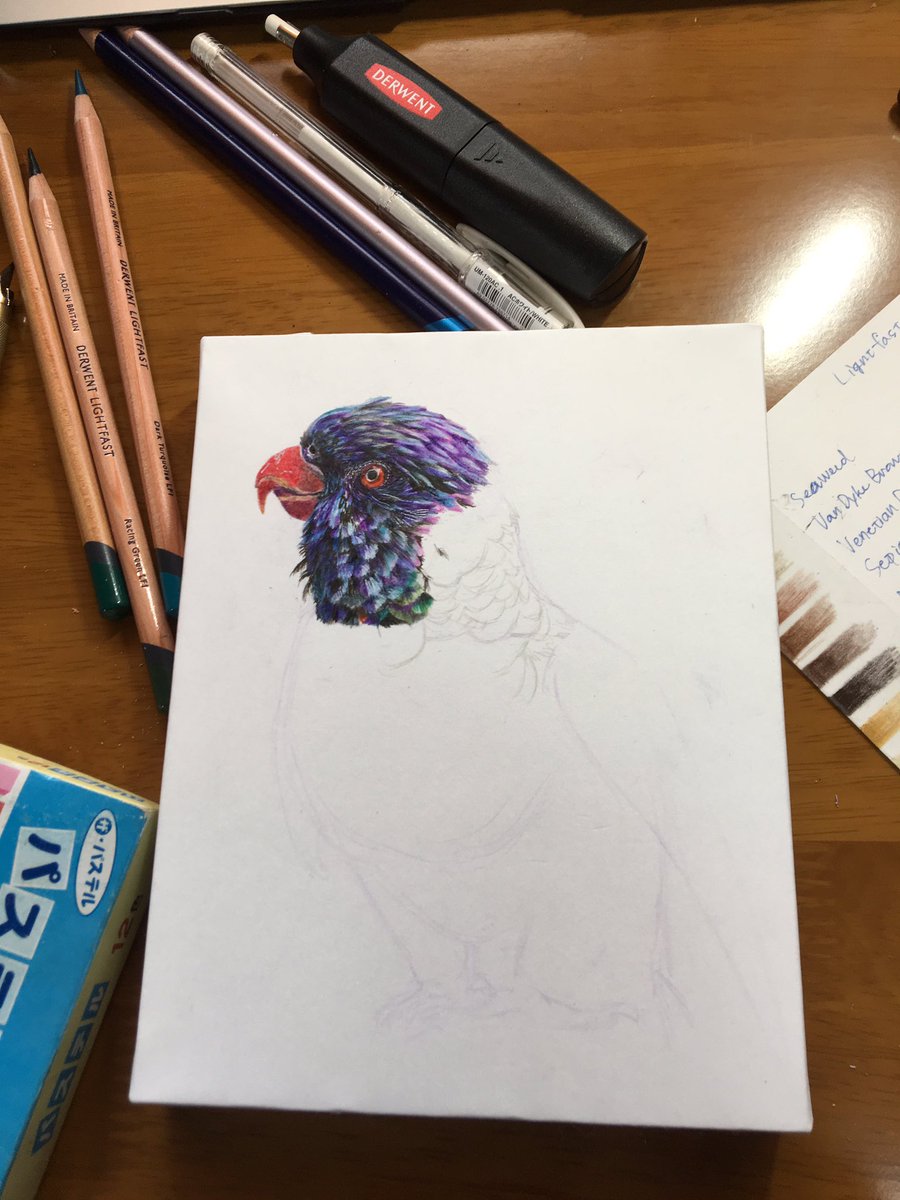 0sukeヨースケ Auf Twitter 硬めの色鉛筆は細かくかきこめるのはいいけど発色と重ね塗りに弱くて どうしてもコントラスト弱めになっちゃうからペンも使ってる 0sukeヨースケ Auf Twitter 硬めの色鉛筆は細かくかきこめるのはいいけど発色と重ね塗りに弱くて どうしてもコントラスト弱めになっちゃうからペンも使ってる