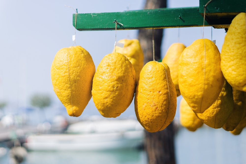 WyldKind's tweet photo. When life gives you lemons, enjoy the lemonade #traveljunkie #traveltips #travelstories #travellovers #traveljournal #healthyfats #healthyyou #healthyliving #healthyeat #healthyfit #veggieworld #veggieburger #veggiefood #veggielife #veggielover #veggiehead #veggietime https://t.co/Des961LKiB