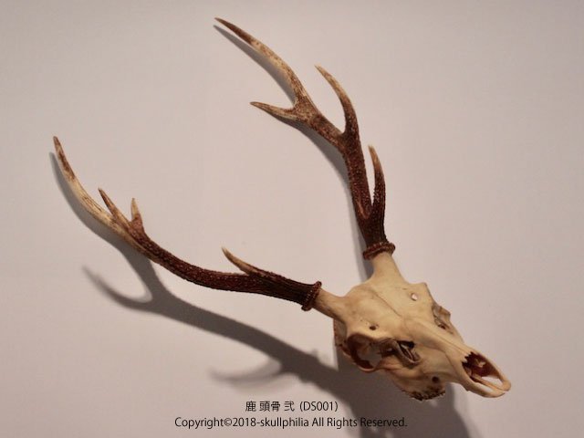 顎のtwitterイラスト検索結果 古い順