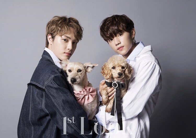 geonu_wu's tweet photo. this is my favorite concept 
the boyz + puppies https://t.co/YmjPygzHz2