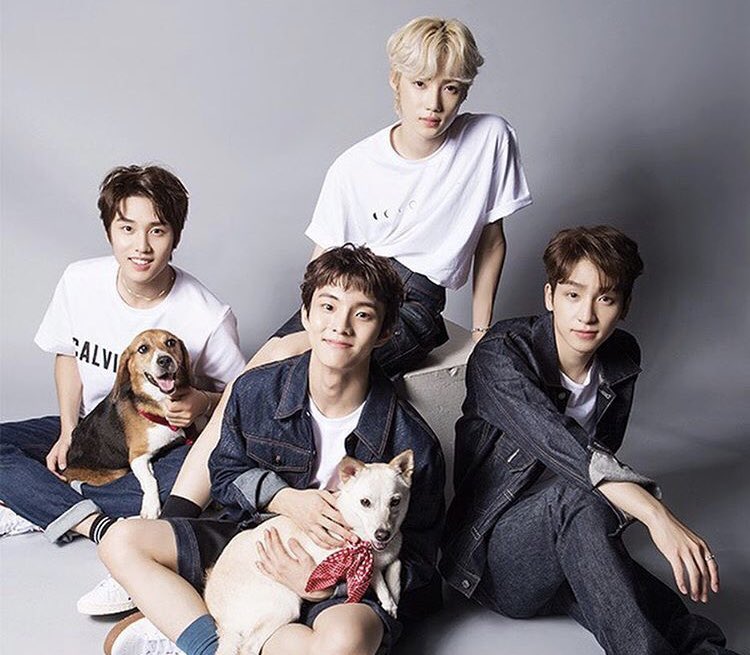 geonu_wu's tweet photo. this is my favorite concept 
the boyz + puppies https://t.co/YmjPygzHz2