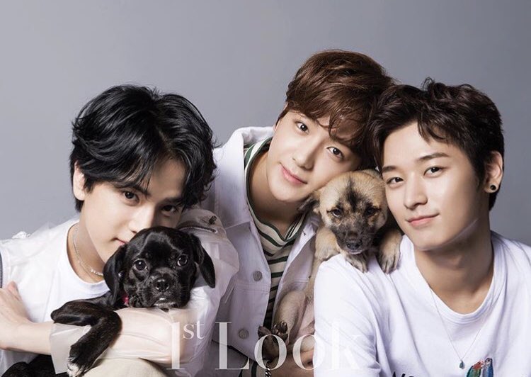 geonu_wu's tweet photo. this is my favorite concept 
the boyz + puppies https://t.co/YmjPygzHz2