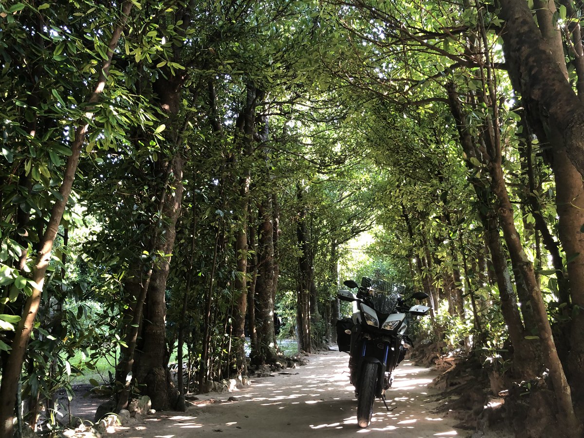 saigou09's tweet photo. バイクで47都道府県制覇を達成後、次の目標を考えてきましたが・・・

・キャンプで47都道府県制覇

・バイクで主要離島制覇

を次の目標にしようと思います😁
この2つを選んだ理由は今までの経験上、キャンツーで様々な場所に行ったり、離島で新しい発見をするのが旅として楽しかったから😆
#バイク旅 https://t.co/IqCPsrr26A