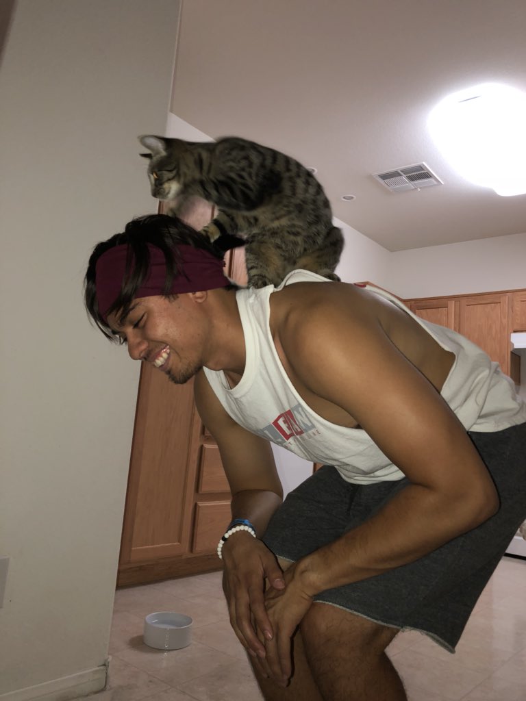 beececil's tweet photo. Happy National Boyfriend Day to the best cat dad 💞 love youuuuu https://t.co/N1FcLkAjfn