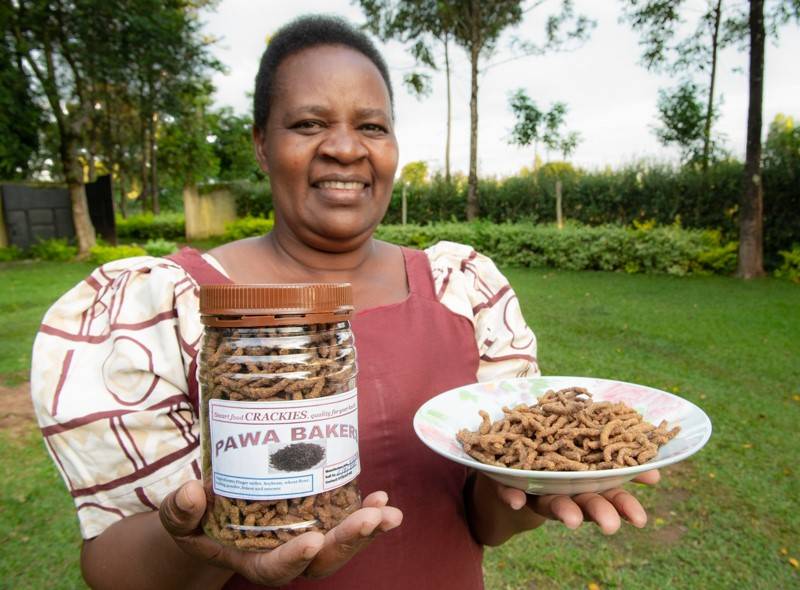 Dr Chrispus Oduori of #KALRO_FCRI is working on wild relatives of finger millet resistant to Striga. In Picture: Farmer Pascilisa Wanyonyi with finger millet ‘crackies’.  bit.ly/2E4Di7o
#Fingermillet #SmartFood #Kenya #SmartFoodSnack <a href="/CropTrust/">The Crop Trust</a> #ICRISAT