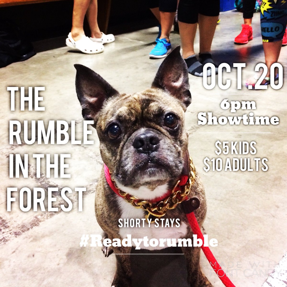 BelieversBoxing's tweet photo. #RumbleintheForest3, #Rumble3, #BBGRumble #believersboxinggym https://t.co/M2jWIxKFKg
