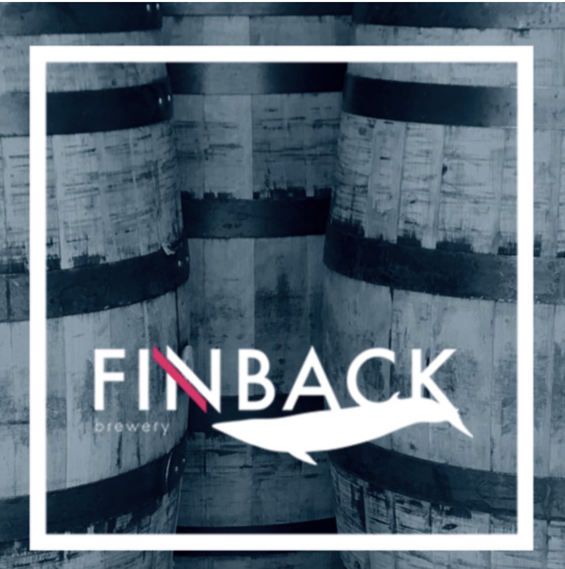 Tiger!Tiger! tweet media