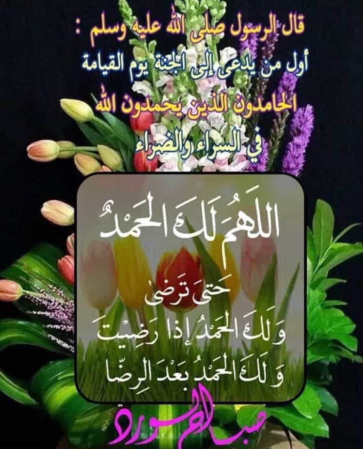 3sfooora2's tweet image. 