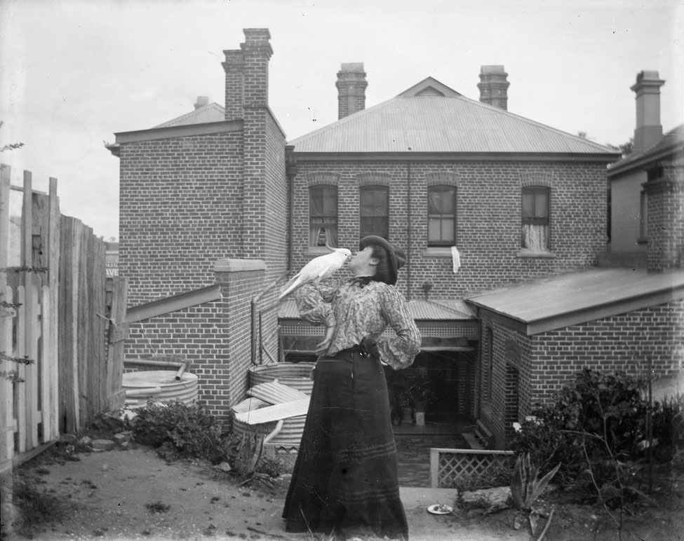 nlagovau's tweet photo. Today on #WorldAnimalDay we honour the weird, the wonderful, the loyal, and the wild. And remind ourselves to respect these incredible critters as well as the habitats they live in. 

These images are from our collection - just for the occasion. https://t.co/Aga1kRrJCV