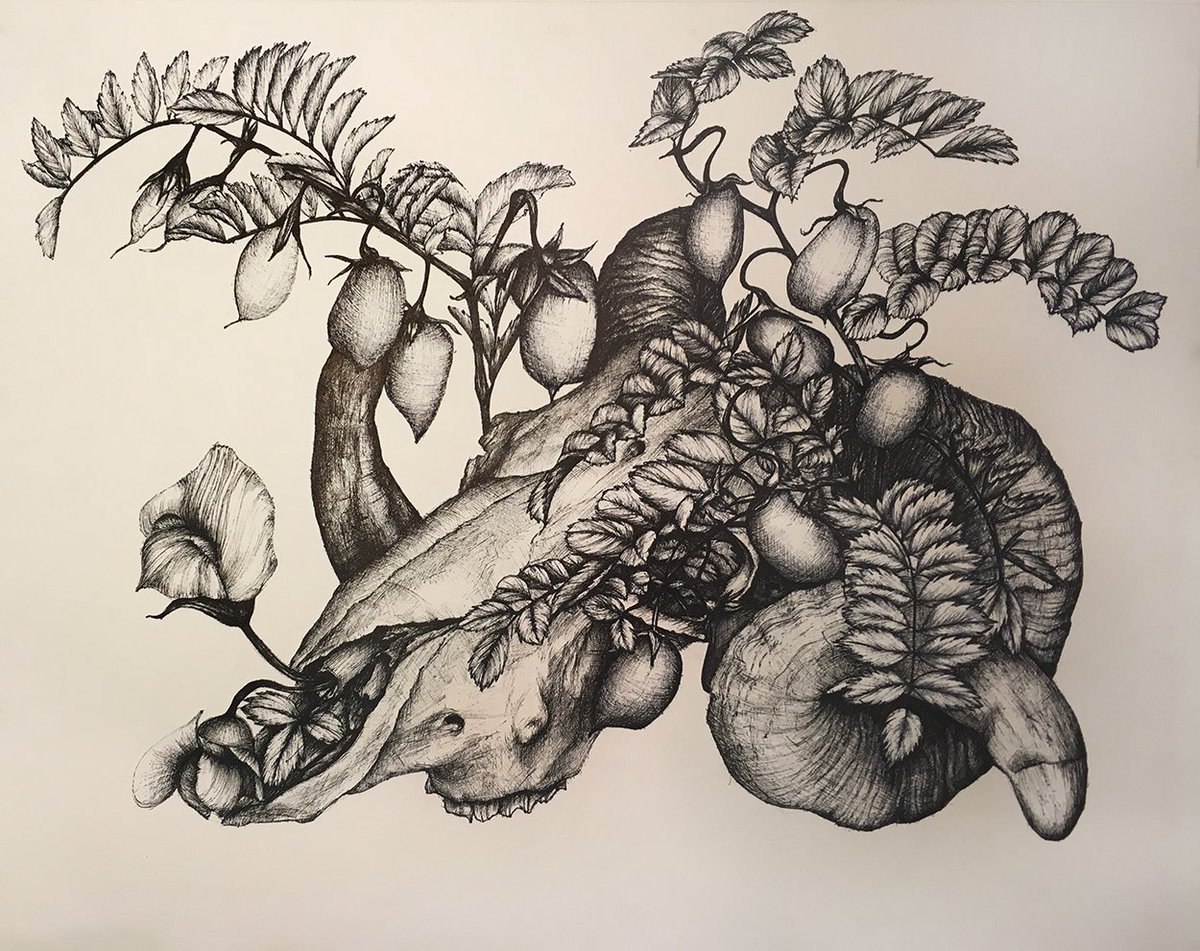 pausha's tweet photo. LIFE AND DEATH

pen and ink on watercolor paper
11x14 https://t.co/1XfABN5LhV
