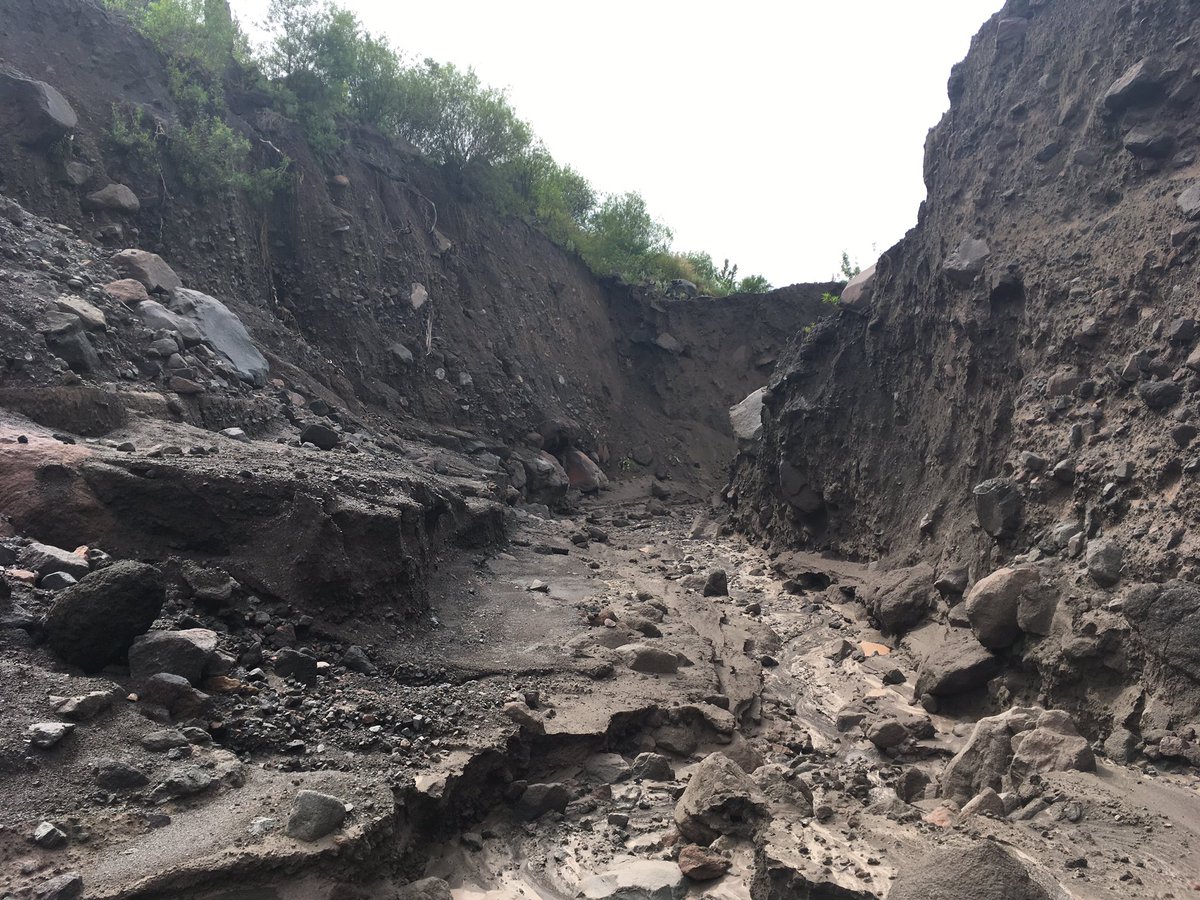 The_Volcano_Guy's tweet photo. Perfect day to end my time at @CIIV_Colima with a field trip to the Montegrande PDC. So cool to be in the deep barranca looking at the different deposits. Also got to follow ocelot tracks #geology #volcano #fieldwork #sieving #lastdayinmexico #tracking https://t.co/vz93ROsfmo