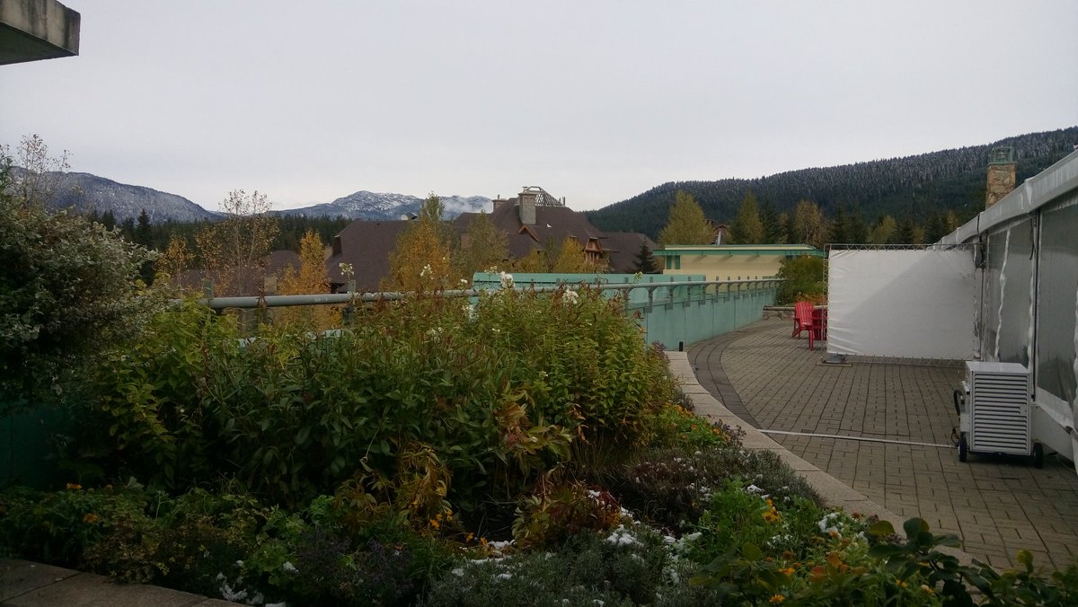 London Drugs AVS Mgr tweet media