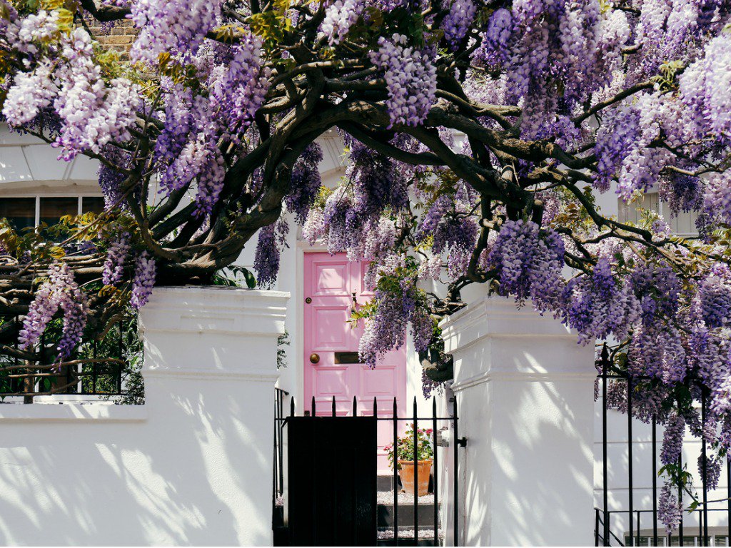 Did you know spring is not only the time when the weather starts to warm up but also one of the best times to rent out your property? hubs.ly/H0f0hK00
