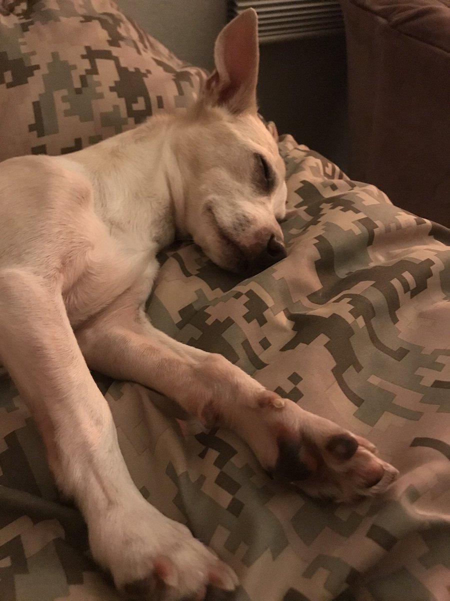 lilmichi1's tweet photo. Me on national boyfriend day 😴 https://t.co/DDkcZmgLwf