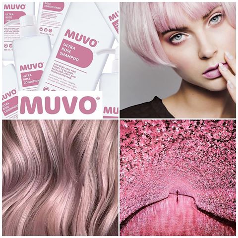 Hair & Beauty Warehouse on Twitter: "The big craze..pretty in pink with #MUVOUltraRose..chose your shade.. Use MUVO Ultra Rose Shampoo for your everyday pink adventure. From dusty rose to bright pink