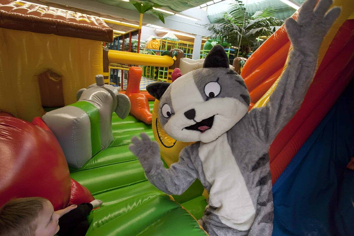 Discovering Finland tweet media