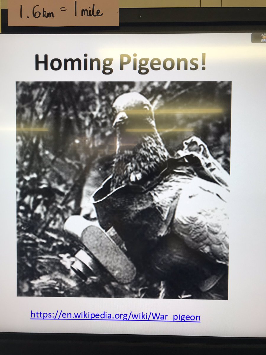 EduMissM's tweet photo. Itβs #WorldAnimalDay and #Year6LHS are learning about carrier pigeons during WWII - will their coded messages help the characters in our book to arrange a secret meeting? #historyLHS #readingLHS @emmac2603 https://t.co/8jOvogsfFs