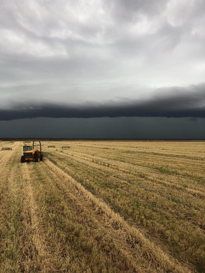 shelleymlloyd's tweet photo. A storm approaching St George in Qld’s SW this arvo. @abcbrisbane @ABCemergency @BOM_Qld 
Thanks to Anna Twidale for the great pic. https://t.co/owtDWqxuZq