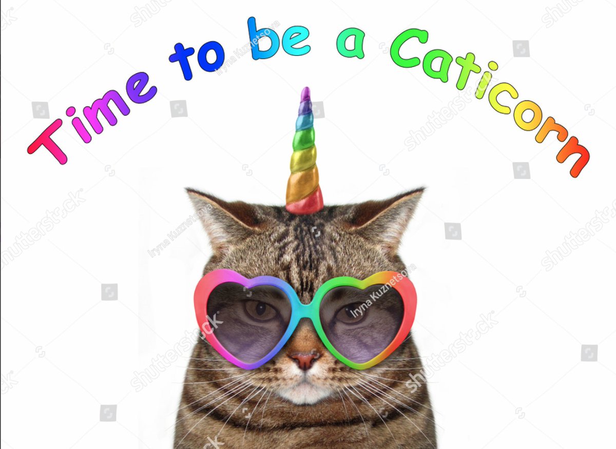 it's time
#WorldAnimalDay