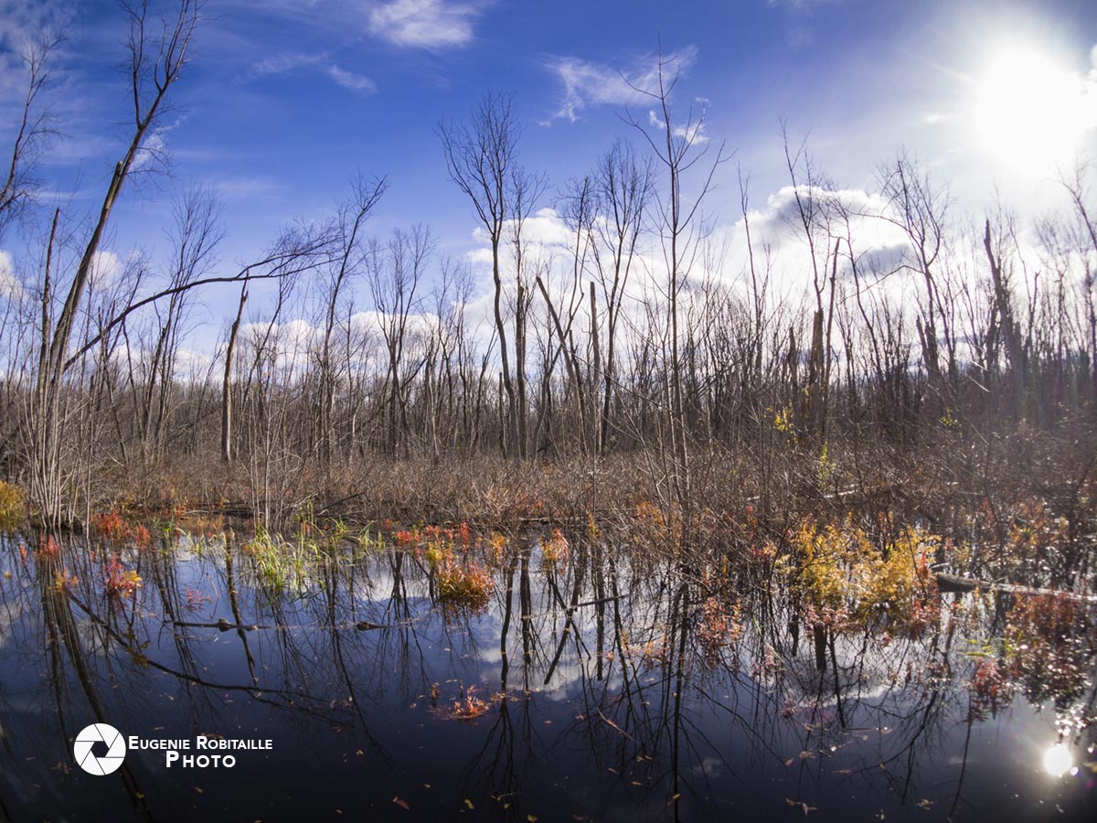 FromMTLwithLove's tweet photo. Autumn landscape

https://t.co/hL2xg44nWr

#landscape #outdoors #nature #park #river #waterscape #woods #trees #sunny #day #daylight #autumn #river #fall #colors #water #land #forest #evergreens

@TempusAura
@TROLETTIPHOTO
@EugenieRobitail
@FromMTLwithLove https://t.co/pkB5Mwwqj7