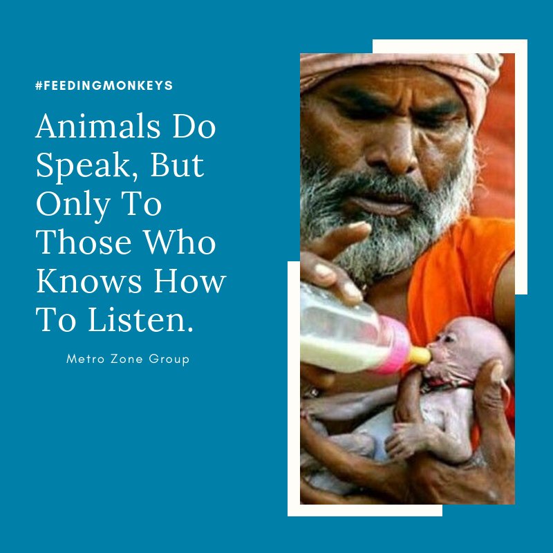 MetroZoneIndia's tweet photo. This Sadhu, How Beautifully Take Care
Of The Little Monkey...
#EkLikeToBantaHai
#Humanity #FeedingMonkey #Care #SecondOpinion #ThoughtOfTheDay #Metro #Zone #Group #AnimalLovers #WorldAnimalDay https://t.co/cdyFO6ADLL