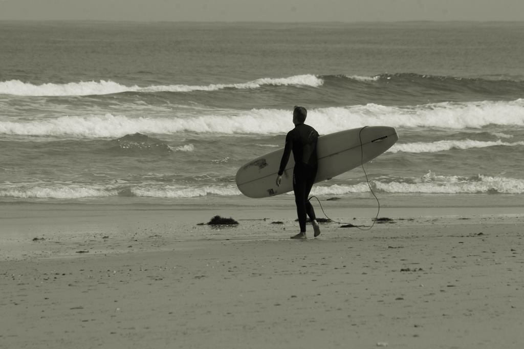 Costasurf tweet media