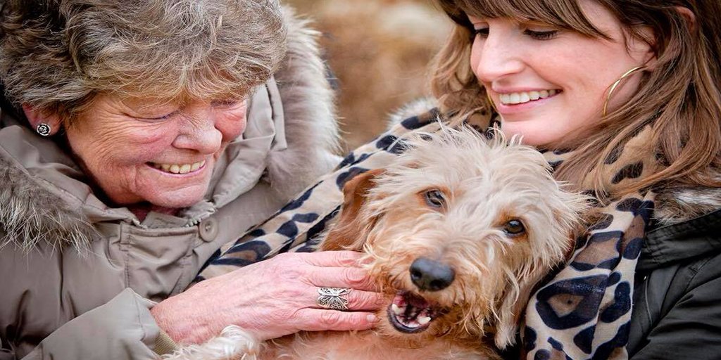 Vandaag brengen we graag Stichting OOPOEH onder je aandacht. <a href="/OOPOEH/">Stichting OOPOEH</a> wil er óók graag zijn voor mensen die zich (soms) alleen voelen, en voor wie een oppashond wat gezelligheid kan opleveren. 
Wil je je #hond uitlenen of zelf #OOPOEH worden? Kijk dan op oopoeh.nl