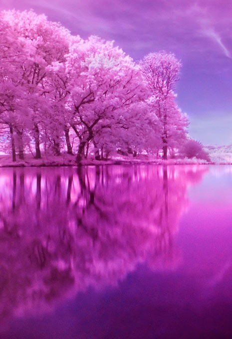 Pantious Bianca (@Bianca15048017) on Twitter photo 04/10/2018 06:28:25 Good morning my twitter friends/ world???? Good morning my twitter friends/ world????