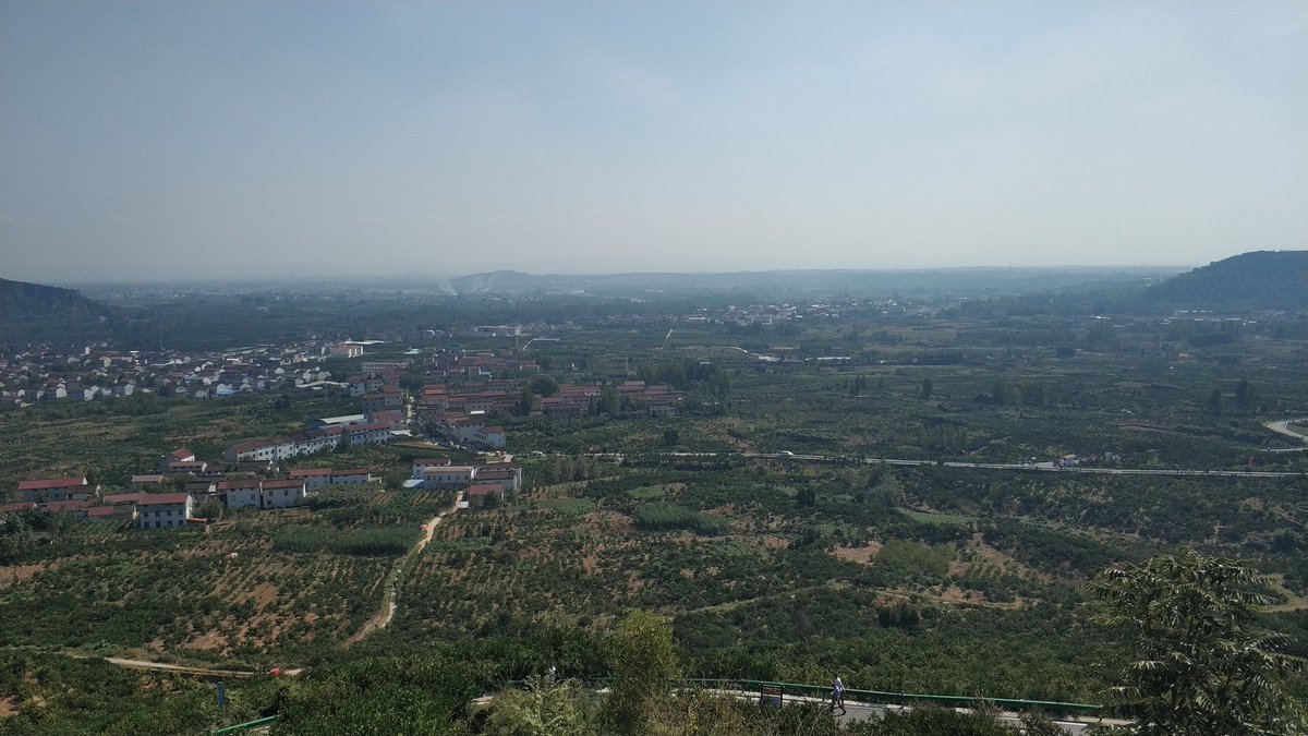 ChenRuiHua's tweet photo. 汉中城固桔园 https://t.co/mPbS12Um18