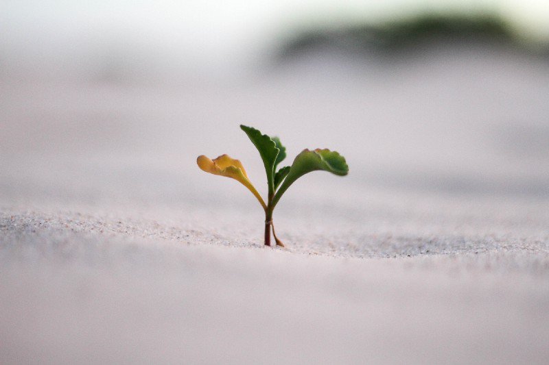 FabienRaynaud's tweet photo. 6 expériences instructives de #GrowthHacking  pour réussir la croissance de sa #startup https://t.co/5V9qQoHVUN https://t.co/ft9YxU73lF