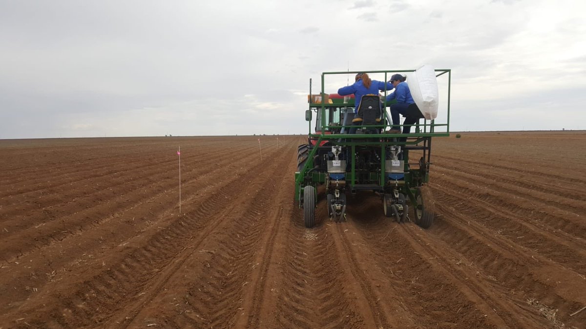 Kalyx are pleased to announce the opening of our newest branch in Griffith, NSW.  Rachael Smith, who heads up the Griffith operation, welcomed a visit from our Narrabri staff to help plant the first of a number of cotton trials in the region.
