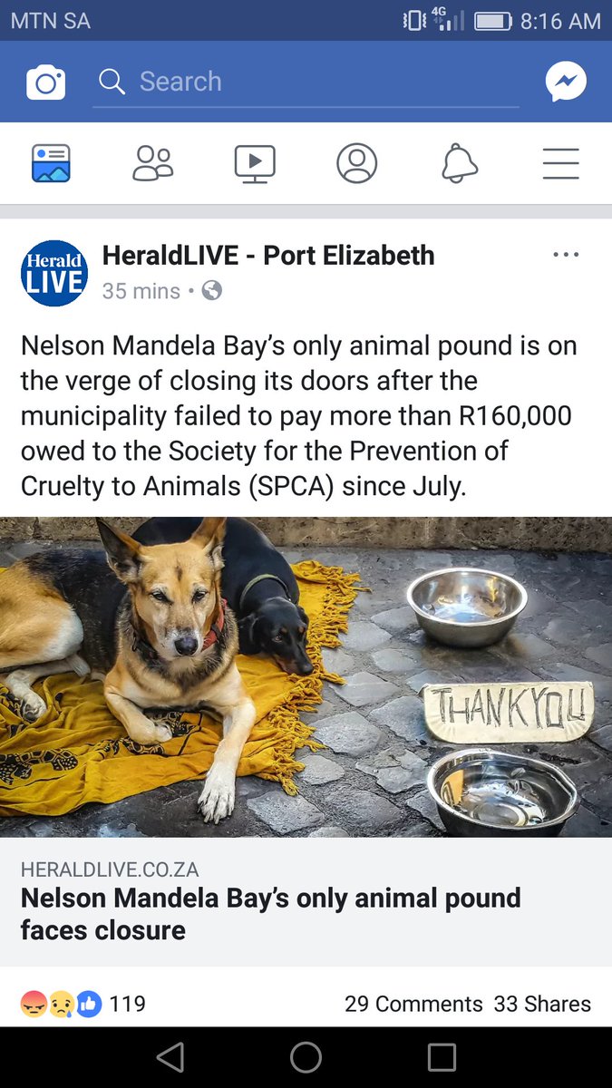 Julie17310776's tweet photo. @MongameliB Dear Mayor please please please fix this. I know it is not your fault as it dates back to July. 🙏🙏🙏 https://t.co/YMCuBSqhfv
