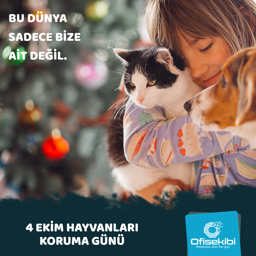 Bugün #4kim #HayvanlarıKorumaGünü. Şartlar ne olursa olsun hayvanları sevelim, koruyalım. #Ofisekibicom #WorldAnimalDay