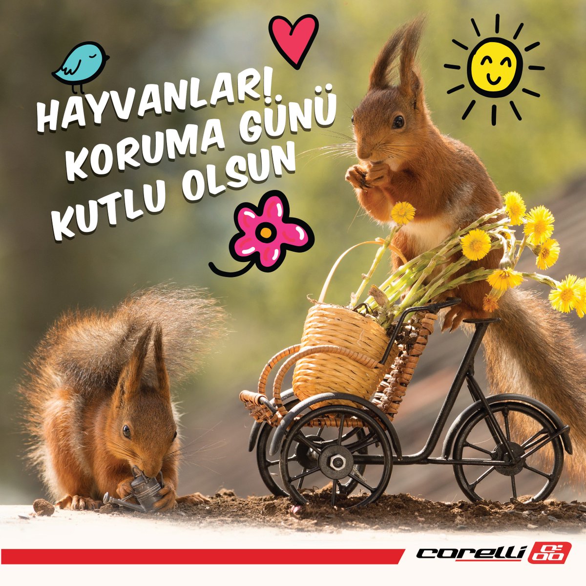 4 Ekim Hayvanları Koruma Günü'nde insan, hayvan ve doğa, hep birlikte, uyum içinde, mutlu bir yaşam umuduyla 🐱🐶🐼