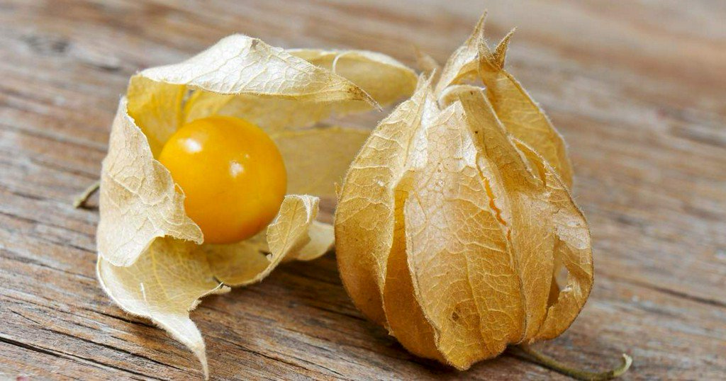 Popular Science tweet media