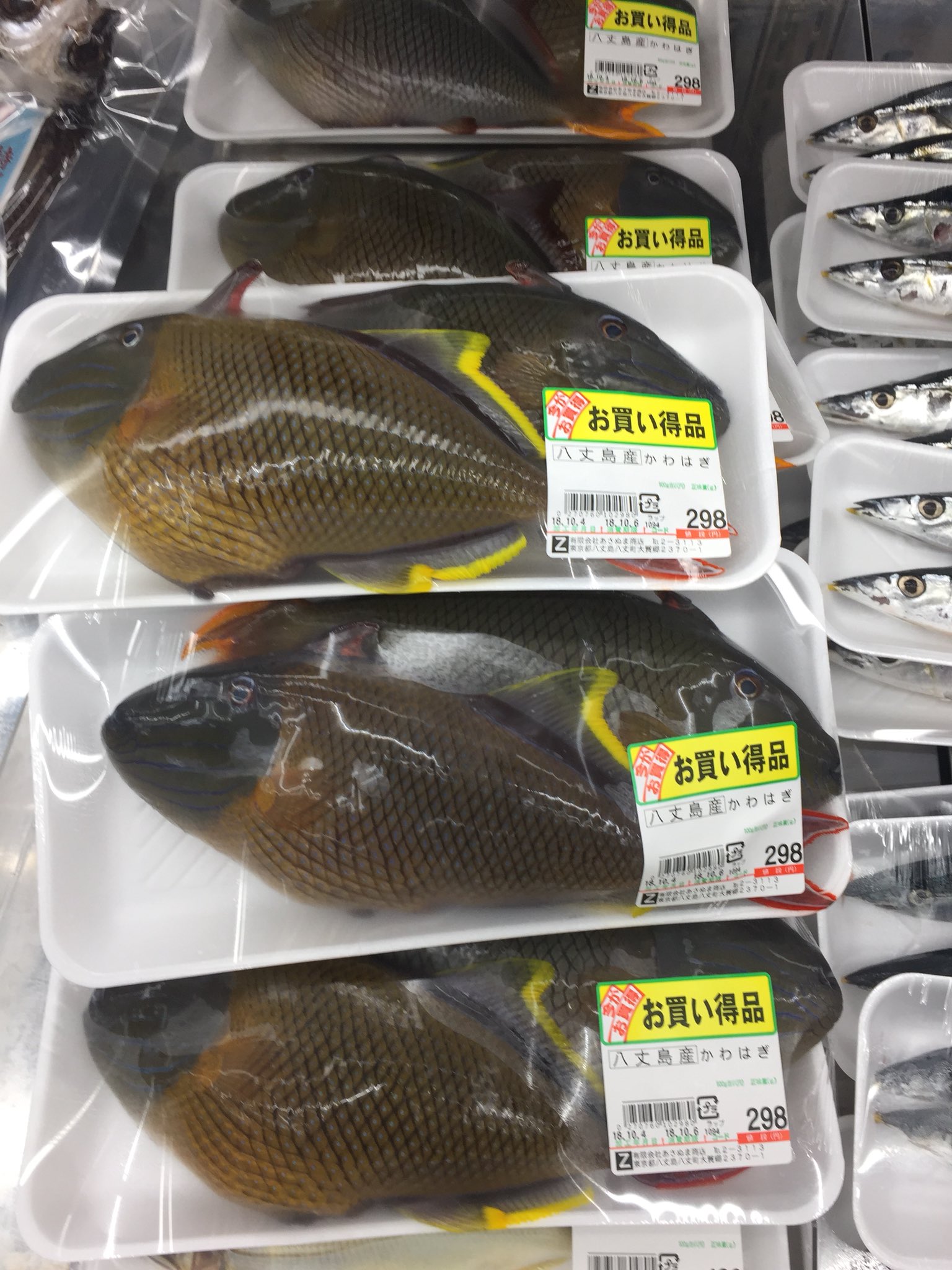 ナメモンガラ Twitter Search Twitter