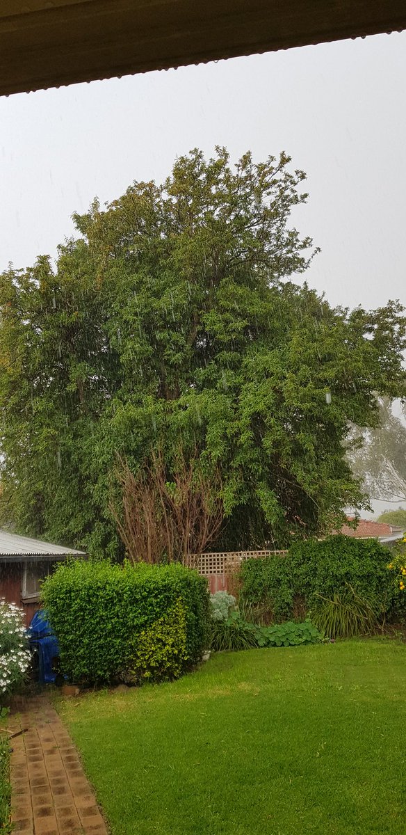 Grey skies but it really makes the greenery intense. #greyclouds #rainfalling #greenerfoliage