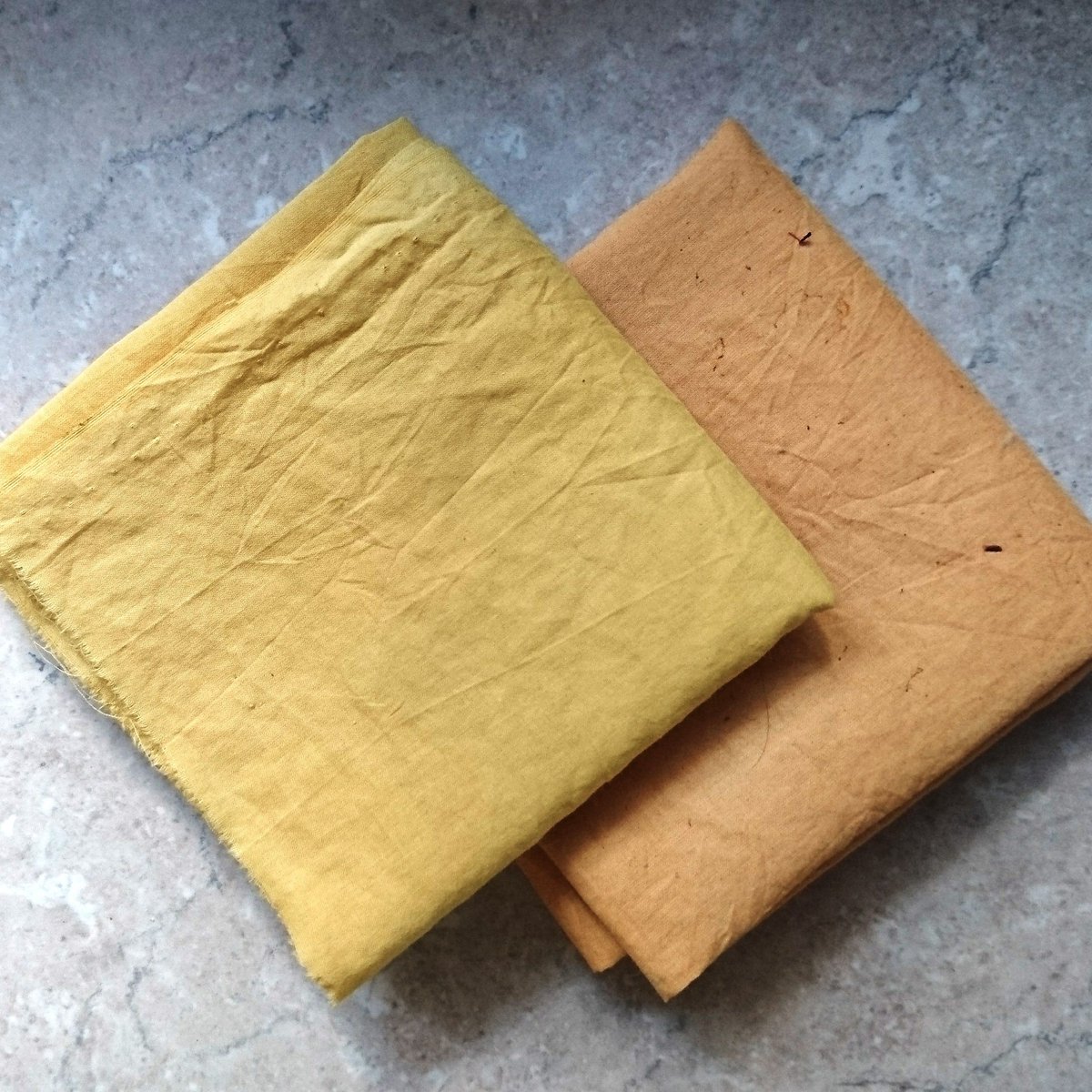 Today's natural dyeing results - sunshine shades from Oxalis pes-caprae. #naturaldye #botanicaldye