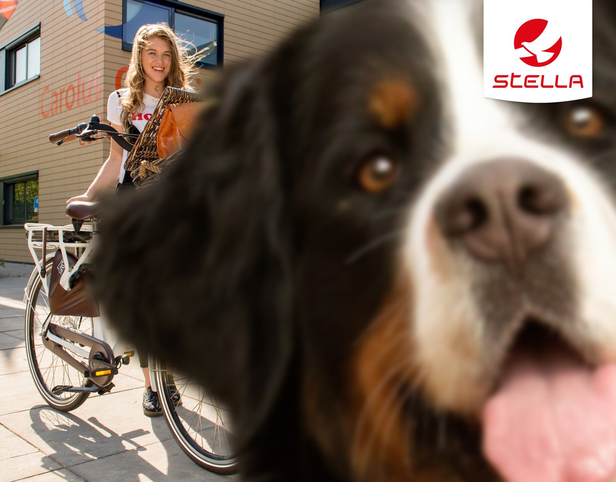Photobomb! 📸 Heb jij ook een leuke foto van jouw Stella e-bike met jouw huisdier?