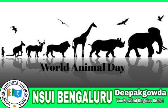 DeepakgowdaNsui's tweet photo. The Greatness Of A Nation And Its Moral Progress Can Be Judged By The Way Its Animals Are Treated #WorldAnimalsDay #NSUI_BENGALURU https://t.co/KxJ6aMh3iw