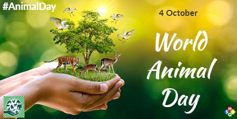 SHEQsys's tweet photo. World Animal Day🐕🐴
Get involved and show you care, each and every one of us can make a difference for animals.

#WorldAnimalDay #AnimalDay #ShowYouCare #AnimalIssues #AnimalAbuse #AnimalProblems #ProtectAnimals #BeTheirVoice #SaveAnimals #WorldAnimal #DayforAnimals https://t.co/9nbCIWZQft