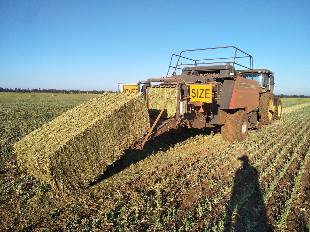 Ready to work 
Procut chopper XD balers, gazeekas, experienced operators, will travel. 

Call 0438019971