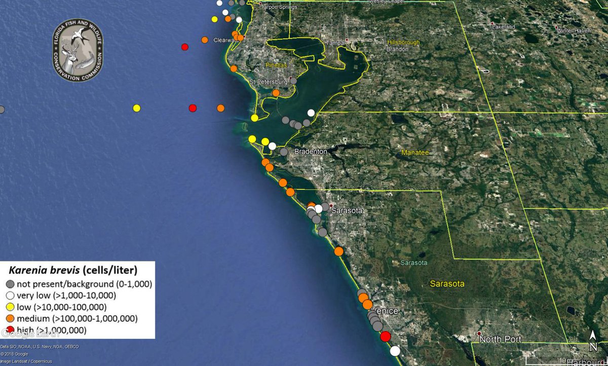 Current Red Tide Map Florida Map