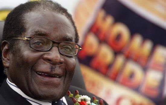 ROBORTMUGABE's tweet image. Happiness is when you close the door to kill a snake and the electricity goes off my brother that's when you will know that nobody can stop reggae music.You will jump like a rasta man