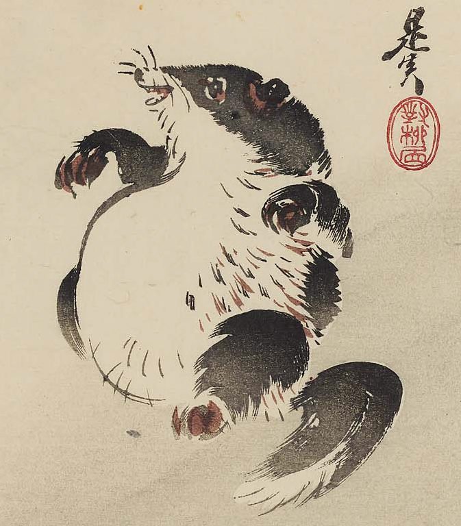 Anne Louise Avery tweet media