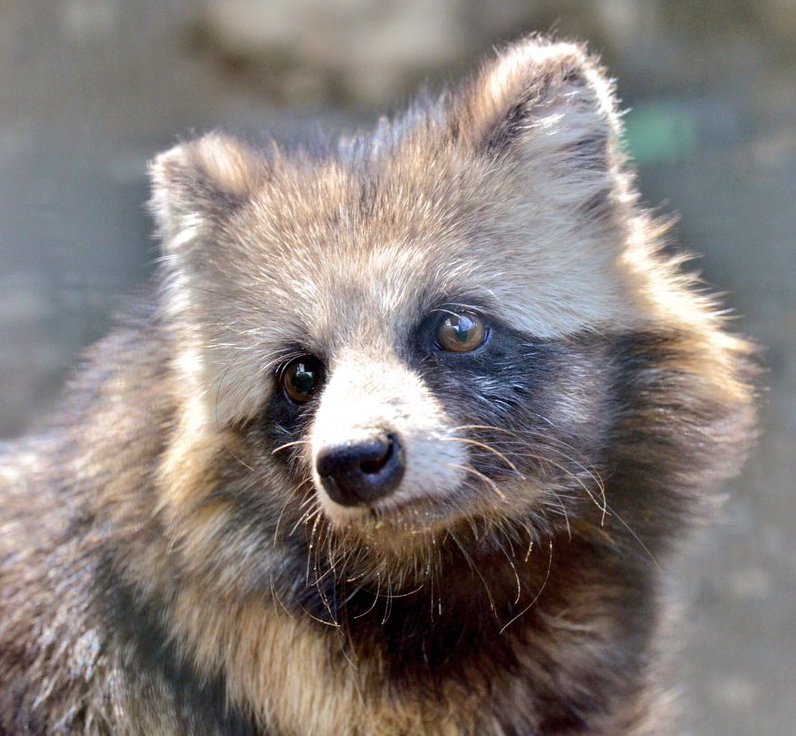 Anne Louise Avery tweet media