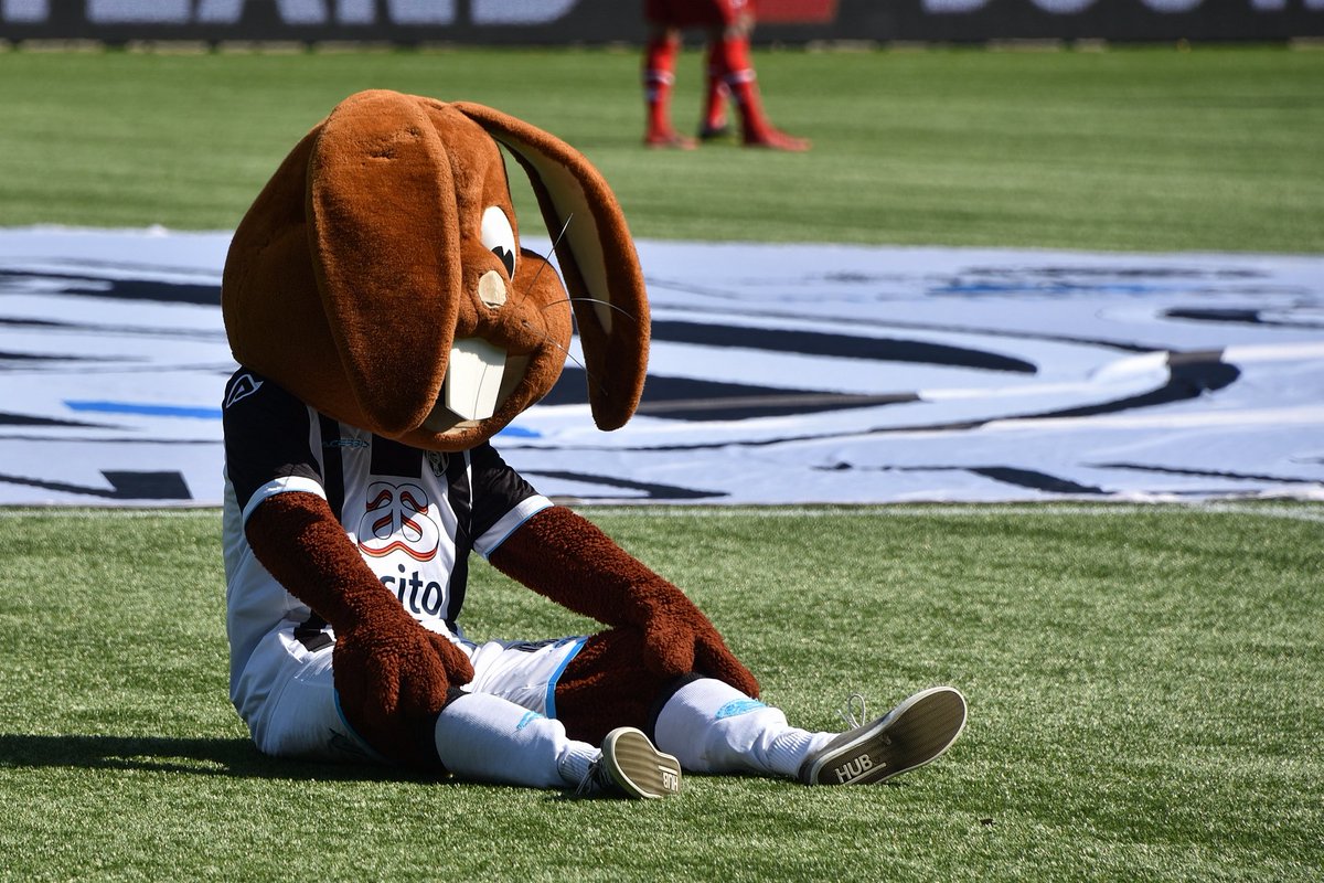 🐰 Dierendag! 
Gefeliciteerd Bultje 😉