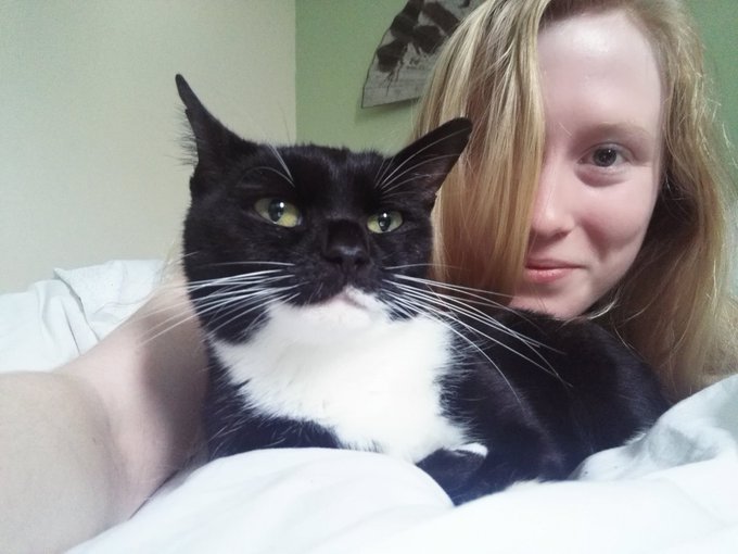 Kitty cuddles are making me feel better this morning 😍😊 https://t.co/LbMNCGETYj<a href="/tag/wetwednesday"class="tags"><span>#wetwednesday</span></a>